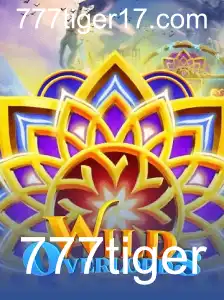 777tiger Rinha de galos